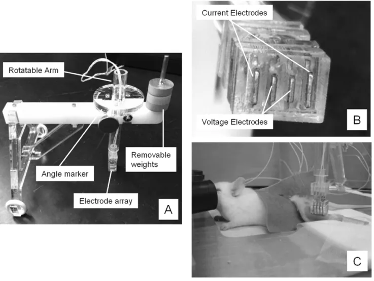 Figure 1 shows three different views of the device. Four stainless steel strips placed in parallel were embedded within an acrylic head, with each of the individual strips protruding slightly to help ensure good contact with the skin