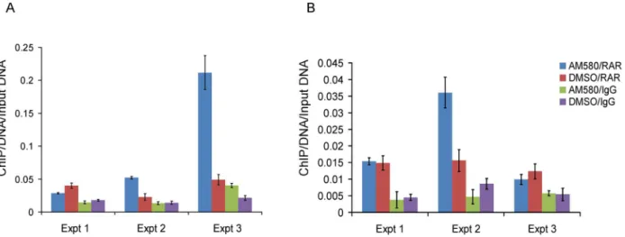 Figure 5. Enrichment of the region spanning rs11868112 in Anti-POU2F1 ChIPed DNA relative to rabbit IgG ChIPed after AM580 and DMSO treatment