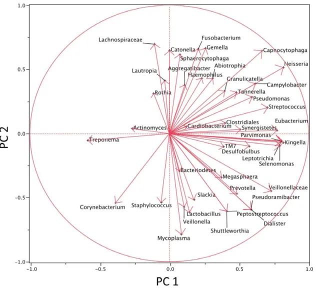 Figure 5 plots the vectors representing the 43 genera. Genera represented by vectors in the right upper quadrant were major contributors to the weight of the NoRSS group in Figure 4
