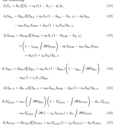 Figure S1. Partial Adaptation of PIP3 to Increasing Steps of Chemoattractant from 0.1 to 10