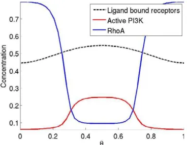 Figure 5. Dynamic Range of Gradient Sensing Mechanism