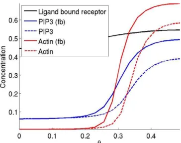 Figure 7 shows the steady-state concentrations of the Ras–