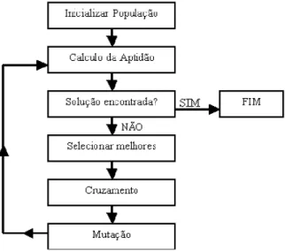 Figura 1 - Estrutura básica de um AG                    Fonte: Linden (2008). 