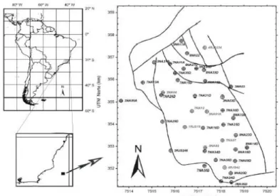 Figura 1 - Localização dos poços utilizados no Campo de Namorado. As linhas sólidas indicam os  principais traços de falhas que limitam o campo