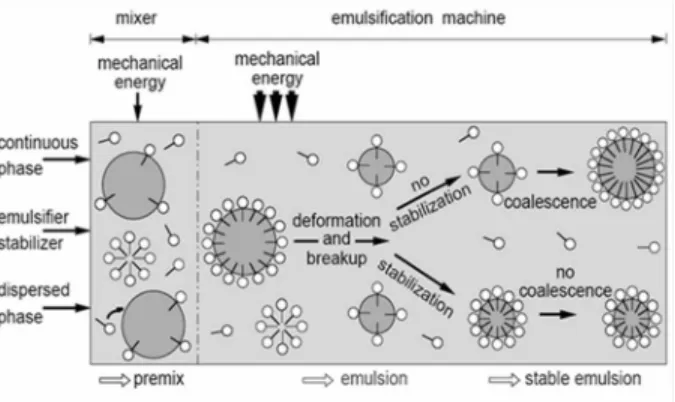 Figure 9. High pressure emulsification process. 