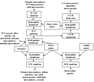 Figure 12. Membrane emulsification application diagram. 