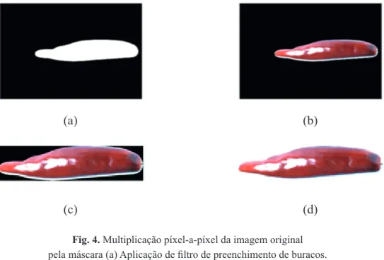 Fig. 4. Multiplicação píxel-a-píxel da imagem original  pela máscara (a) Aplicação de ﬁ ltro de preenchimento de buracos