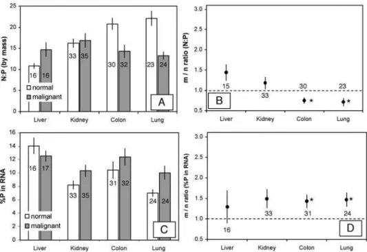 Figure 3. Absolute and relative (malignant/normal) values of biochemical parameters in normal and malignant tissues of liver, kidney, colon, and lung