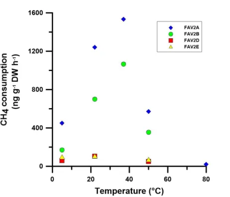 Fig. 2. Methane consumption of soils sampled at di ff erent depths of FAV2 and measured at di ff erent temperatures.