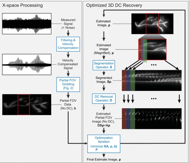 Fig 1. Experimental data illustrating proposed image reconstruction. (Left) The measured signal is filtered and velocity compensated before gridding to partial FOV images