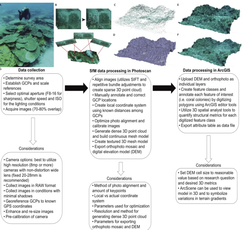 Figure 1 Primary steps of the SfM workflow for three-dimensional reconstruction of the benthic substrate