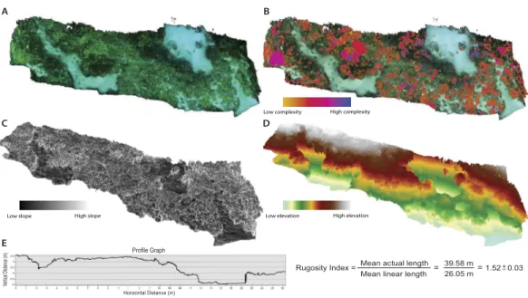 Figure 2 Orthophotos and digital elevation models (DEMs) produced with SfM photogrammetry techniques