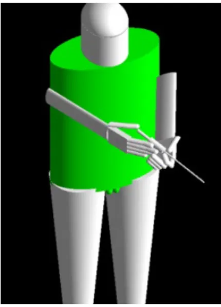 Figure 3: ADAM phantom implemented alongside mathematical phantom of hand and  forearm