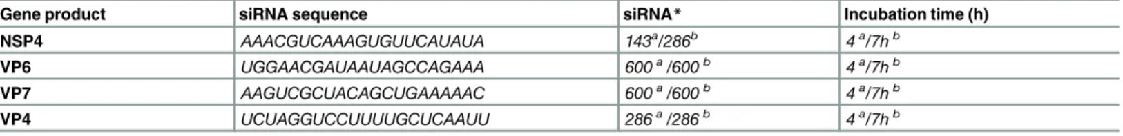 Table 1. siRNA concentration, sequence and transfection incubation time-points in MA104 and EC tumor cells for NSP4, VP6, VP7 and VP4.