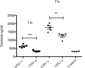 Fig 1. Virulent OSU virus stimulates more release of serotonin from EC tumor cells than attenuated OSU virus