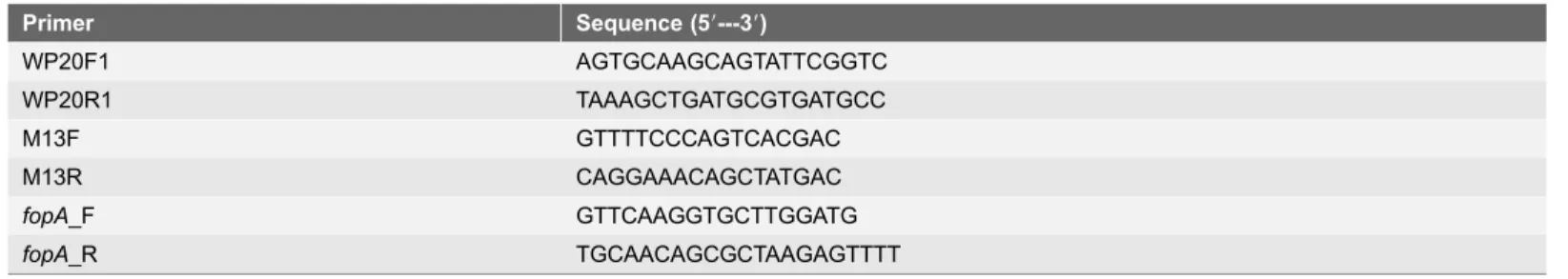 Table 2. Primers used in this study.