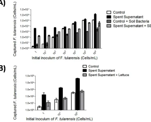 Fig. 2. Spent filtrate supplementation results in increased detection of F. tularensis in mixed cultures.