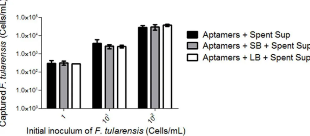 Fig. 4. Combined enrichment with spent culture supernatant and DNA aptamer capture leads to complete isolation of F