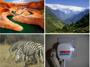 Fig. 6: Four mega-pixel-size color test images (top left and right: Lake, Mountain, bottom left and right: Zebras, Plug) which represent images of various detail and color structure.