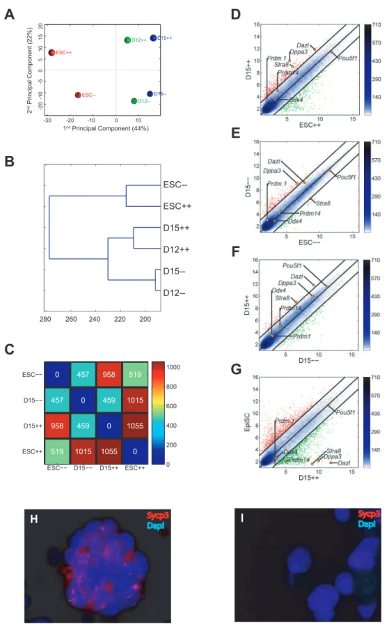 Figure 4. Global gene expression of Oct4-GFP( D PE) ESC-derived PGCs and Gcnf -deficient ESC-derived PGCs compared with wt ESCs