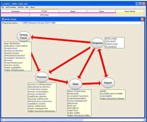Figure 1. The conceptualisation of the information base stored in the IIT within the DPSIR framework (screenshot of the mDSS software).