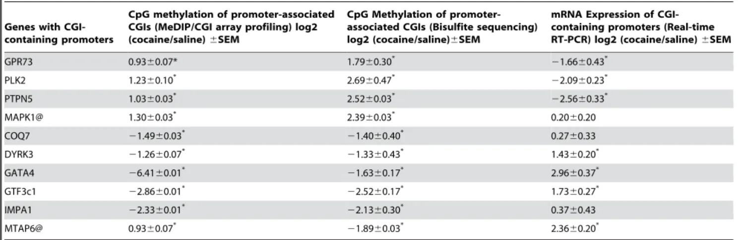 Figure 7. Effects of maternal cocaine exposure on global DNA methylation and DNMT gene expression in 30-day-old pups.