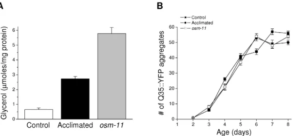 Figure 1. Effect of elevated glycerol levels on aging-induced aggregation of Q35::YFP