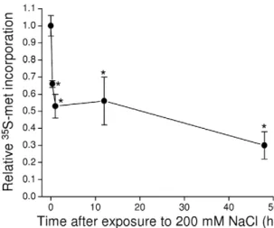 Figure 6C shows the amount of red UbG76V-Dendra2 remaining in body wall muscle cells 24 h after photoconversion under control conditions and during exposure to hypertonic stress.
