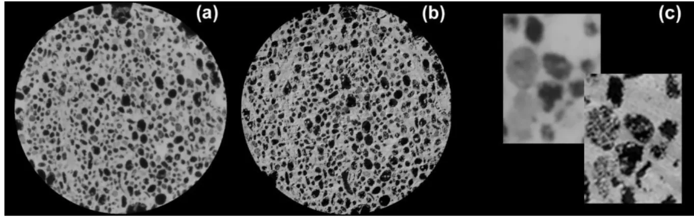 Figure 1: WL0115 sample slices obtained by (A) XCT and (B) SXCT. 