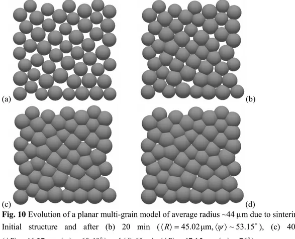 Fig. 10 Evolution of a planar multi-grain model of average radius ~44 μm due to sintering