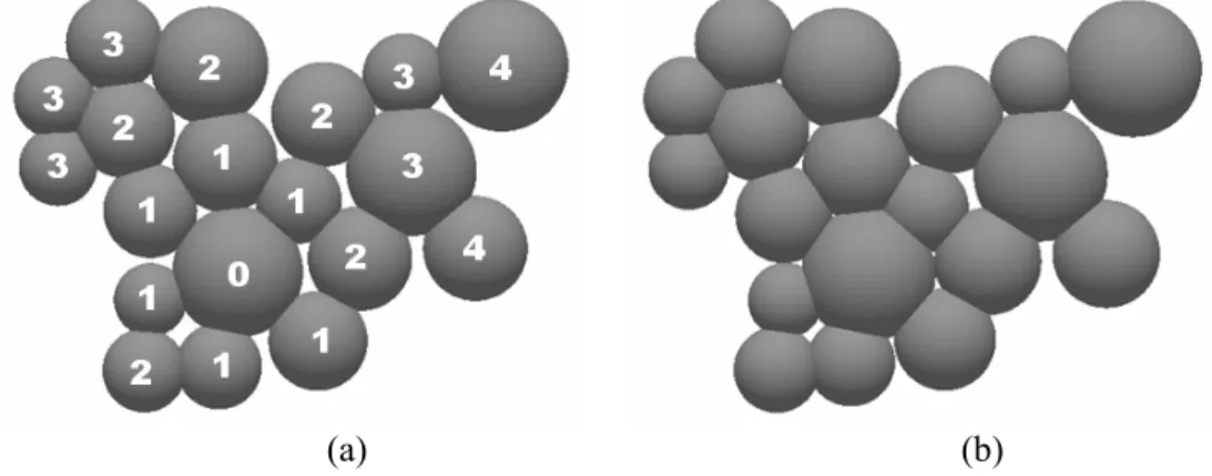 Fig. 2  The skeleton of nineteen grains. (a) Initial structure with assigned grain levels