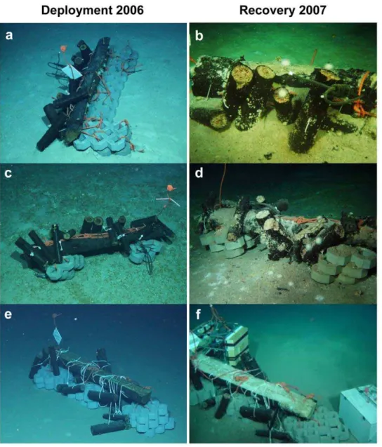 Figure 1. Wood experiments deployed in the Eastern Mediterranean deep sea during the BIONIL cruise in 2006 (RV Meteor) and recovered during the Medeco-2 expedition (RV Pourquoi Pas?) in 2007