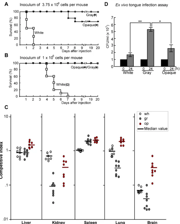 Figure 5. Virulence of white, gray, and opaque cells in systemic and cutaneous infections