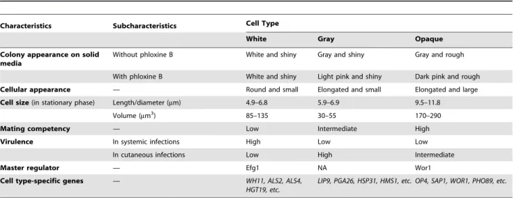 Table 1. Comparison of features of white, gray, and opaque cell types.