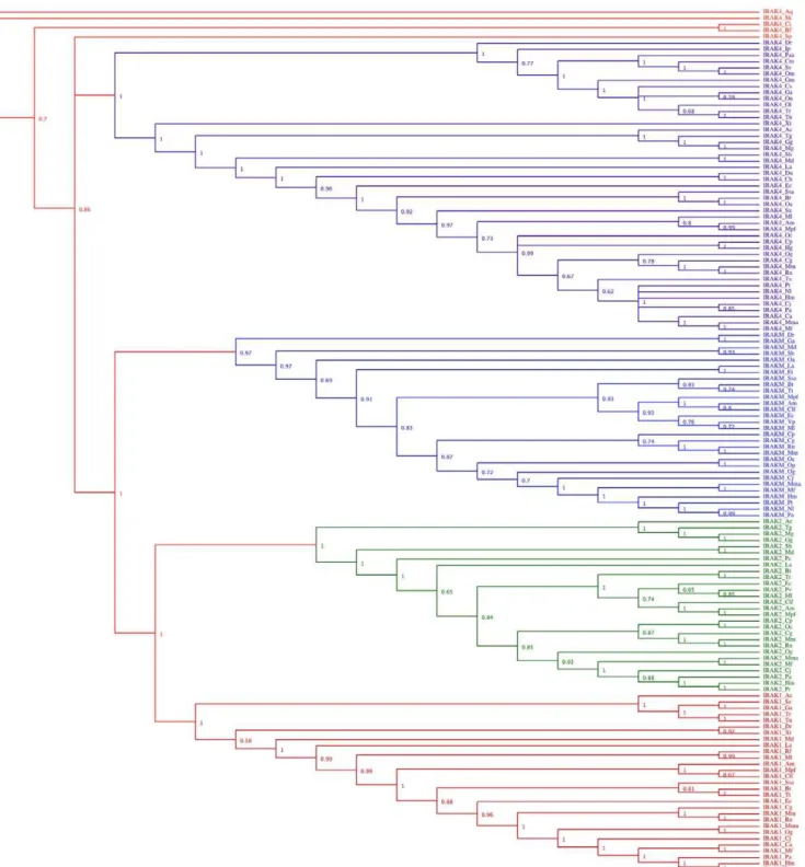 Figure 1. Phylogenetic relationship between vertebrate IRAK subfamilies determined using the Bayesian inference