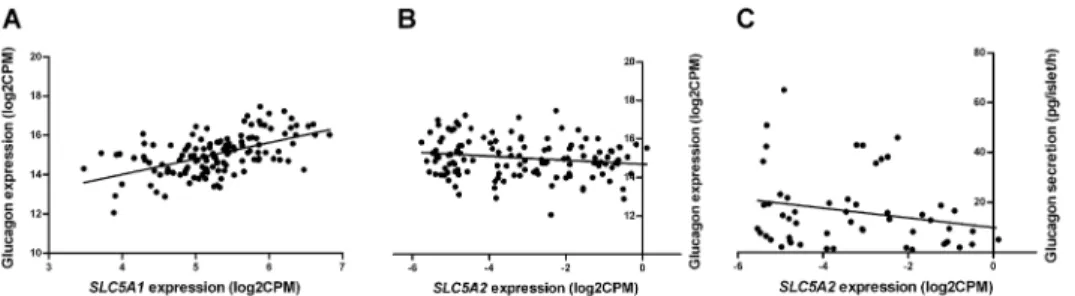 Fig 4. The gene expression of SLC5A2 and SLC5A1 in human pancreatic islets correlated with glucagon gene expression
