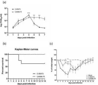 Fig 2. Replicative capacity of the clinical HMPV isolates C-85473 and CAN98–75 in vitro and virulence in BALB/c mice