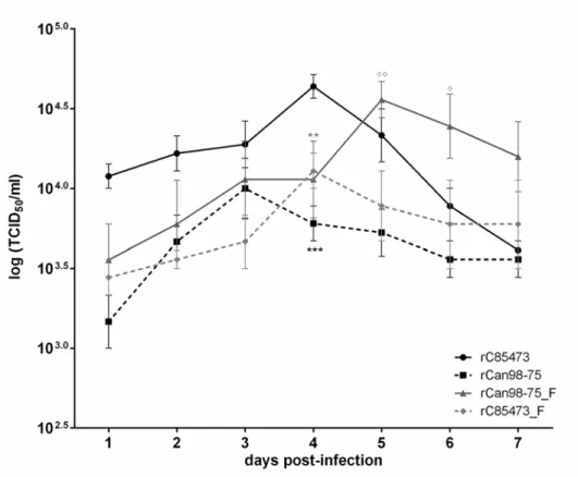 Fig 5. In vitro replicative capacity of recombinant HMPV strains. LLC-MK2 monolayers in 24 well-plates were infected with 4 rHMPV strains at an MOI of 0.01 in triplicate, one well per condition was harvested every 24 h for 7 days, frozen, sonicated and tit