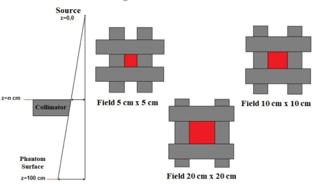 Figure 3: Irradiation Field Sizes. 