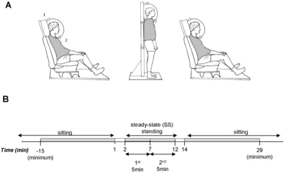 Figure 1. Experimental design and time-line. Schema of experimental design. Posture-adapted ventilated hood indirect calorimetry set-up for sitting and standing measurements (Panel A)