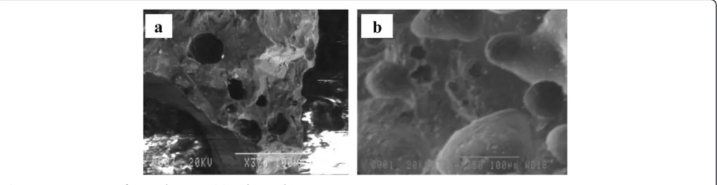 Figure 2 SEM images of natural pumice (a) and MCP (b).