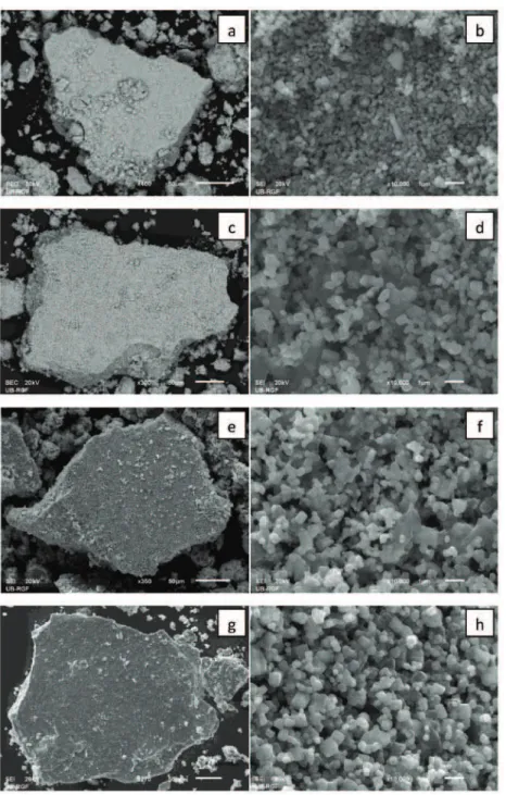 Figure 5. SEM Images of the samples after calcination at 700  ° C: a,b) CZK 0,700 ; c,d) CZK 1,700 ; e,f) CZK 2,700 ; g,h) CZK 4,700 