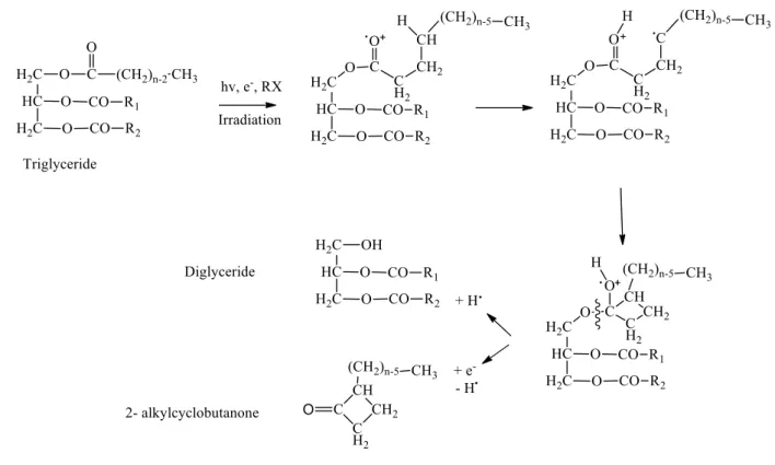 Figure 1: Formation of 2-ACB from a triglyceride after radiation. 