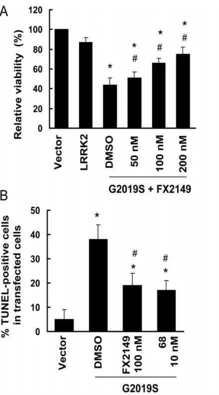 Fig 4. FX2149 attenuated G2019S-LRRK2-induced neuronal degeneration in SH-SY5Y cells. SH-SY5Y cells were co-transfected with GFP and various pcDNA3.1-LRRK2 plasmids at a 1:15 ratio as described in the method section