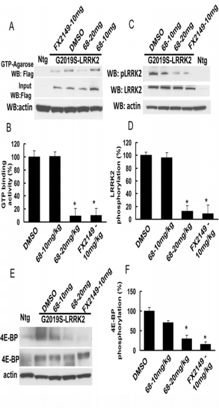 Fig 5. FX2149 improved the brain penetration and inhibition of LRRK2 GTP binding and kinase activities