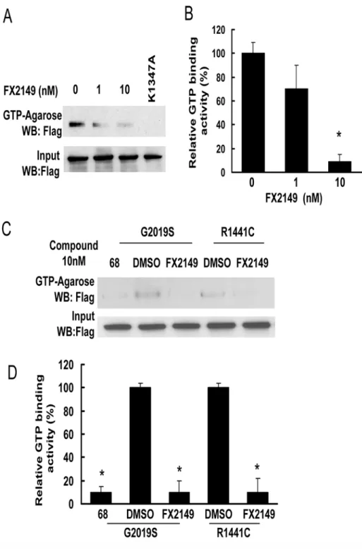 Fig 2. FX2149 inhibits LRRK2 GTP binding activity. WT or mutant LRRK2 was pulled down from lysates of transfected HEK293T cells using GTP-agarose in the absence or presence of FX2149 at 1 and 10 nM concentrations