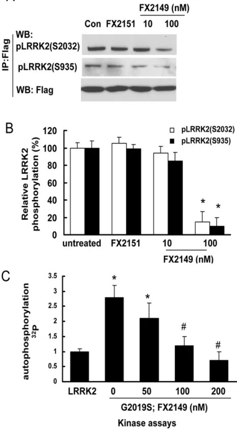 Fig 3. FX2149 reduced LRRK2 phosphorylation. A and B. HEK293T cells were transiently transfected with Flag tagged G2019S-LRRK2 construct for 36 h and then starved with no serum media for 12 hours.