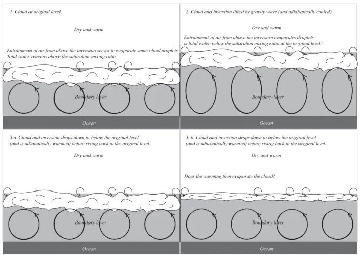Fig. 1. Schematic of the first hypothesis to be tested: does the cloud clear due to additional cloud-top entrainment as a result of the wave?