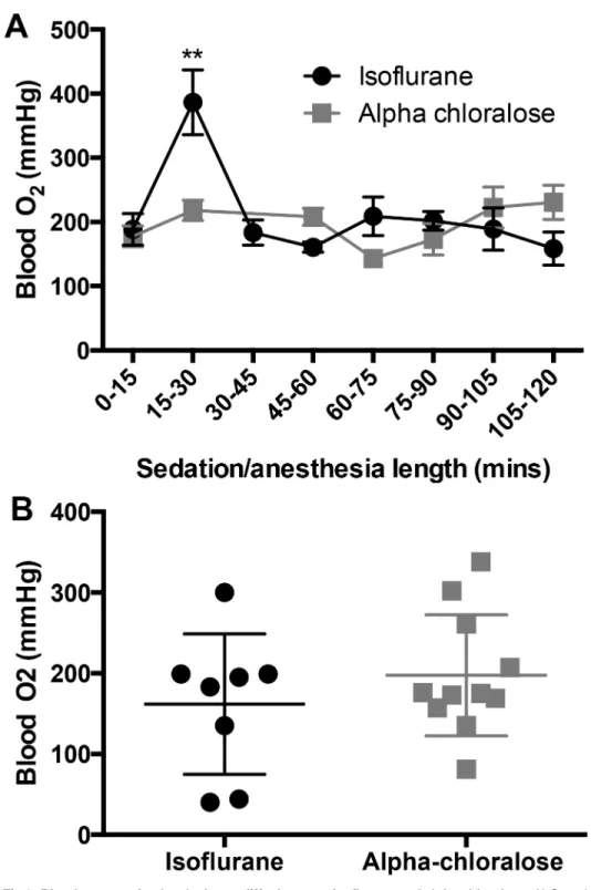 Fig 3. Blood oxygenation levels do not differ between isoflurane and alpha chloralose