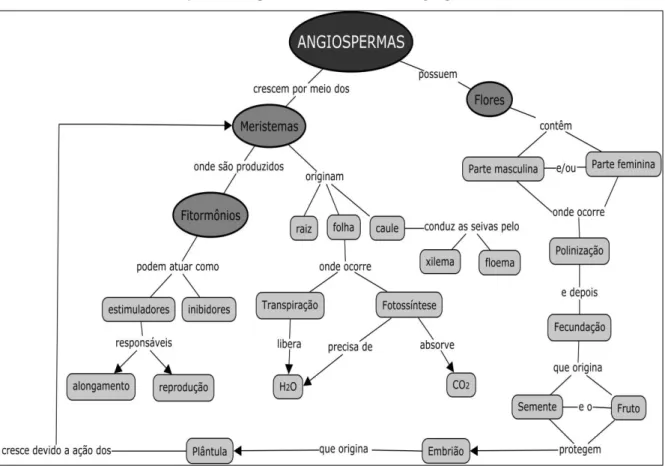 Figura 7 – Mapa conceitual referente às angiospermas.